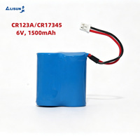 Batterie primaire LiMnO2 CR123A 2S1P 6V 1500mAh pour compteur électronique, compteur d'eau, compteur de gaz, télécommande