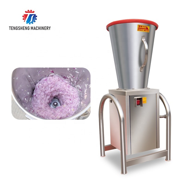Stainless Steel Fruit Juicer Fruit Orange Juice Extractor Juicer Machine Apple Guava Tomato Lemon Juicing Machine (TS-GZ)