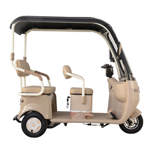 Remorque de transport ouverte en acier personnalisable <span class=keywords><strong>pour</strong></span> trois personnes, abri contre la pluie, <span class=keywords><strong>pour</strong></span> personnes âgées et handicapées, transport urbain, tricycle électrique - Product Image 6