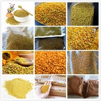 Pollen de tournesol pur naturel de haute qualité, granulés de pollen d'abeille brut pour complément alimentaire, vente en gros en vrac – Direct Usine