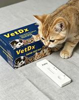 Kit de test de grossesse pour chat FRL, carte de diagnostic rapide de la relaxine féline pour clinique vétérinaire