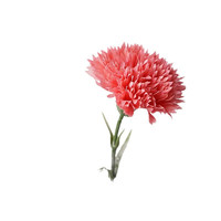 Vrac En Gros Pas Cher Vrai Toucher Soie Faux Oeillet Fleurs Artificielles