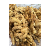 Chine Gingembre frais de haute qualité Meilleur prix Gingembre frais lavé Grande taille Gingembre lavé emballé dans un sac en filet