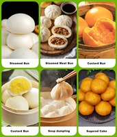 Machine à kubba électrique personnalisable, machine à momo, machine automatique à mochi et à coxinha, moteur en acier inoxydable de qualité alimentaire
