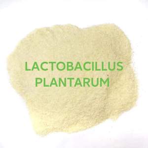 Lactobacillus Plantarum ISO Sertifikalı Yem Sınıfı Probiyotikler Bağışıklığı Güçlendirir Su Kalitesini Arındırır Karides İçin 25kg Varil Ambalaj - Product Image 1