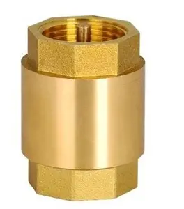 Spring Check Valve Brass Spring Check Valve With ABS Core 1/2"-4"