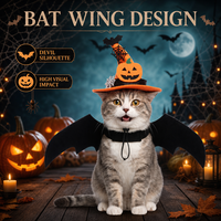 Meilleures ventes Alibaba : Ensemble de décoration d'Halloween pour animaux de compagnie, assortiment de chapeaux de sorcière, capes et accessoires, tenues pour chats et chiens style Europe et Amérique, citrouille