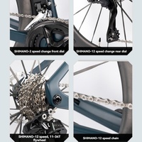 Bicicleta de Carretera Profesional de Competición Urbana con Cuadro de Carbono T800 y Frenos de Disco Hidráulicos para Hombre