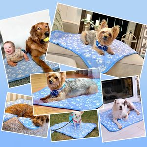 Custom <b>Dog</b> Cooling Mats for <b>Dogs</b> Cat <b>Dog</b> Ice Cooling Mat Pet Cooling Mat Washable Non-Toxic Summer Wholesale <b>Dog</b> Cooling Mats - Product Image 6