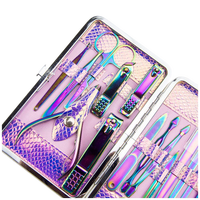 Kit de manucure et pédicure professionnel portable en acier inoxydable à motif serpent iridescent, 16 pièces, fournitures pour la Saint-Valentin