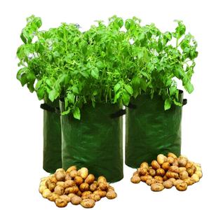 Potato Patio Planter Bag 40 liters 3pcs/set