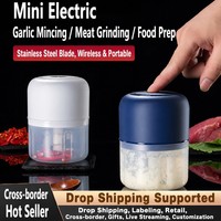 Mini Elektrische Knoflookblender 250ml Draagbare Voedselhakselaar RVS Messen Keuken Groothandel