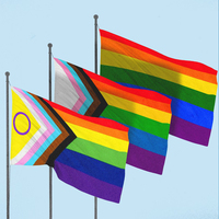 Inclusive Pride arc-en-ciel drapeau bannière couleurs vives LGBTQ communauté Gay Pride drapeaux lesbiens Logo personnalisé produit promotionnel en plein air