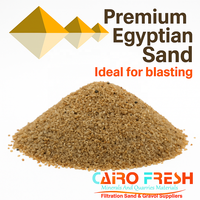 Sable de coulée de qualité fonderie haute pureté AFS 45 Sable de silice à faible teneur en fer d'Egypte