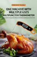 Thermomètre numérique pour viande RUIMEISEN RMS-201 pliable en acier inoxydable 304 avec sonde en plastique, précision 0,5°C, étanche IPX6, grand écran