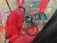 Machine de soudage orbital TIG automatique pour tuyaux, soudeuse tube à tube pour la construction navale, les pipelines pétroliers, gaziers et GNL