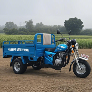 Motocicleta Triciclo de 5 Ruedas para África, Motocicleta <span class=keywords><strong>Trimoto</strong></span> de <span class=keywords><strong>200cc</strong></span>, Triciclos Motorizados de <span class=keywords><strong>200cc</strong></span> - Product Image 1