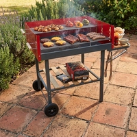 Barbecue portable réglable pour l'extérieur 107,5x52x101,5cm