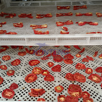 Tomatendehydrator In Voedselfabriek Tomatenreiniging Droogmaling Productielijn Tomatendroger