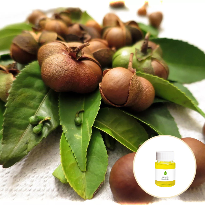 Health Care Original Edible Organic Camellia Seed Oil Refined Pressing