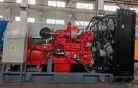 30kW AC Tiga Fasa 240V 50/60Hz Generator Set Biogas Gas Alam LPG CNG Efisiensi Tinggi untuk Penggunaan Industri Pabrik Pedesaan