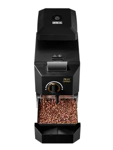 Surewin Electric torréfaction de grains de café à usage domestique petite machine domestique torréfacteur de café 500g