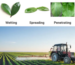 BQ-109 <span class=keywords><strong>pH</strong></span> 3 ~ 10 Agent de propagation et de pénétration de silicone agricole (tensioactif de silicone organique) adjuvant de silicone - Product Image 3