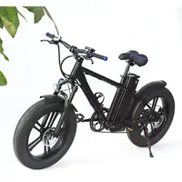 48v750w 21ah बैटरी बिजली की मोटर साइकिल खरीदने चीन पीए बाइक वसा टायर बिजली सनी ई बाइक