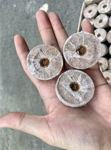 Super promotion : Bloc de fibre de coco 100 % biologique, granulés de tourbe de coco biodégradables, écologiques et riches en nutriments pour le démarrage de semis - Product Image 3
