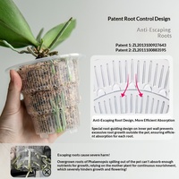 Pot Tanaman Keras Transparan Bernapas untuk Anggrek Phalaenopsis Meishi Minimalis, Anti Serangga, Grosir