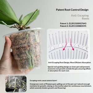 <span class=keywords><strong>Pot</strong></span> <span class=keywords><strong>de</strong></span> culture rigide transparent et respirant pour orchidées Phalaenopsis et mousse, style minimaliste Meishi, pour contrôle des racines, vente en gros transfrontalière - Product Image 2