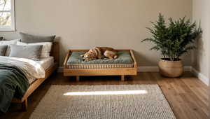 モダンファッションDIY犬用ベッドプラン快適耐久性のある折りたたみ式ペットケージイージービルド木工プラスチック/ゴムスペース節約 - Product Image 4