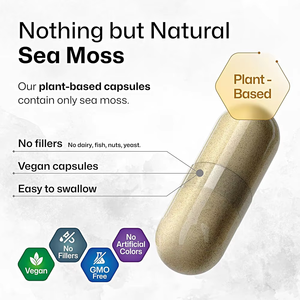 Hot Selling 1600MG Premium Quality Sea Moss Capsules with Bladderwrack Support Digestive Healthy and Promote Immunity for Adult - Product Image 4