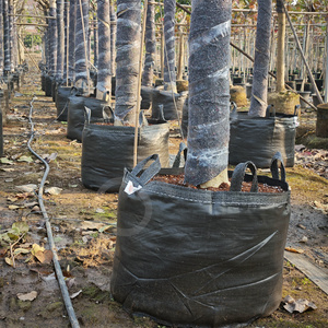 5/10/15/20/35/50/<span class=keywords><strong>100</strong></span> gallons <span class=keywords><strong>Pot</strong></span> <span class=keywords><strong>de</strong></span> <span class=keywords><strong>fleur</strong></span> et sacs <span class=keywords><strong>de</strong></span> plantation d'arbres PP tissu planteur sacs <span class=keywords><strong>de</strong></span> culture pour l'ensemencement pour l'utilisation <span class=keywords><strong>de</strong></span> jardin - Product Image 1