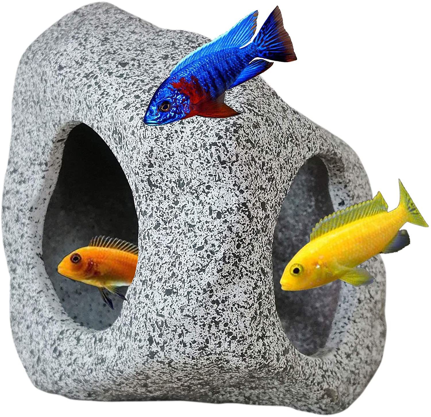 bicycling fishing pole Fish N Mate Bicycle Rod Holder Mounts easily and quickly Bait Tackle Cheapest Fishing Color:Aaron Rodgers (TRO Exclusive) Best sellers