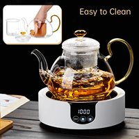 Nouvelle théière en verre borosilicaté résistant à la chaleur à la mode