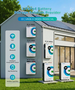 VANYO 51.2v 3140ah Wall <b>Mounted</b> <b>Battery</b> Hybrid Lithium Ion 15 kwh Low Voltage Solar System - Product Image 2
