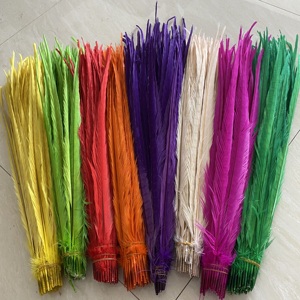 Plumas <span class=keywords><strong>de</strong></span> Faisán Baratas <span class=keywords><strong>de</strong></span> 45-50 cm Teñidas <span class=keywords><strong>de</strong></span> Cola <span class=keywords><strong>de</strong></span> Faisán <span class=keywords><strong>de</strong></span> Collar en <span class=keywords><strong>Venta</strong></span> para Disfraz <span class=keywords><strong>de</strong></span> Carnaval Sexy y Popular - Product Image 6