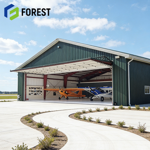 Hangar de Acero de Gran Envergadura, Personalizado y Moderno, Resistente a Terremotos, para Construcción de Aeropuertos, Calidad de Exportación - Product Image 1