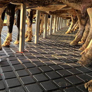 Vierkant Patroon Rubber Koe Vaars Mat Paardenstal Buiten Rubberen Mat Rubberen Vloeren Voor Koeienschuur Schuur - Product Image 5