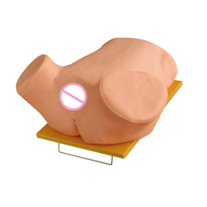 Modelo de Maniquí para Pruebas y Evaluación de Punción del Forno <span class=keywords><strong>Vaginal</strong></span> Posterior, Material de PVC para Entrenamiento en Ciencias Médicas - Product Image 2