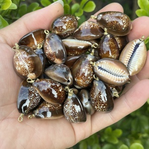 จี้ห้อยเปลือกหอยลายหัวงูสีเทาธรรมชาติขัดเงาจากฮาวาย สำหรับทำเครื่องประดับ DIY - Product Image 1