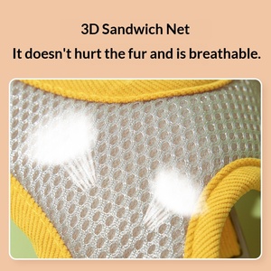 Arnés para mascotas con bordado de margaritas pequeñas, diseño de chaleco de encaje, cuerda de tracción para gatos y perros pequeños, para paseos al aire libre - Product Image 4