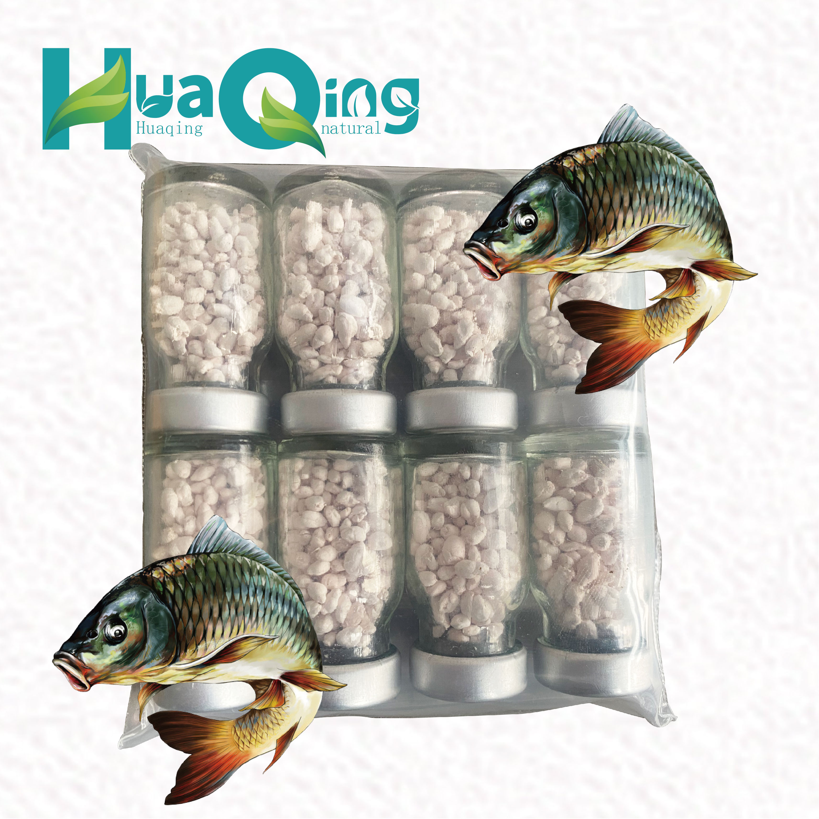 Best price carp pituitary gland for fish breeding pg hormone for broad fish Natural and efficient without side effects