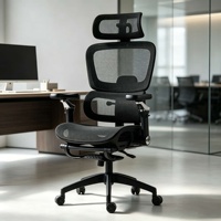 Silla Ergonómica de Malla con Reposabrazos Ajustables 6D, Soporte Lumbar, Giro de 360 Grados, Estructura de Nylon, Contemporánea, para Dormitorio, Oficina en Casa, Venta al por Mayor