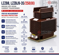 Transformateur de courant en résine coulée pour intérieur LZZB8 LZZBJ9-35/250(III) 35kV 0.2S/5P20