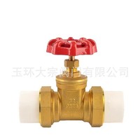Vanne à opercule en laiton PPR 1/2 pouce pour conduite d'eau, utilisation à température normale