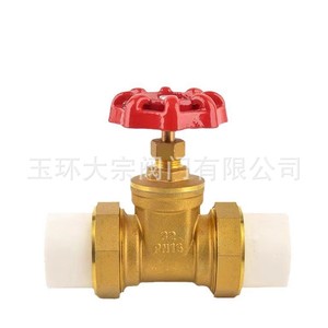 Válvula de Compuerta de Latón PPR de 1/2 Pulgada para Tuberías de Suministro de Agua, Uso a Temperatura Normal - Product Image 4