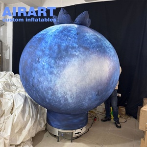 Modelo de Arándano Inflable Grande a Medida, Globo de Fruta de Arándano Inflable - Product Image 1