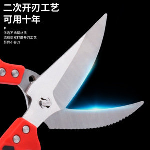 กรรไกรครัวสแตนเลสสำหรับงานหนัก ตัดก้างปลา ใช้ในครัวเรือนอเนกประสงค์ - Product Image 1